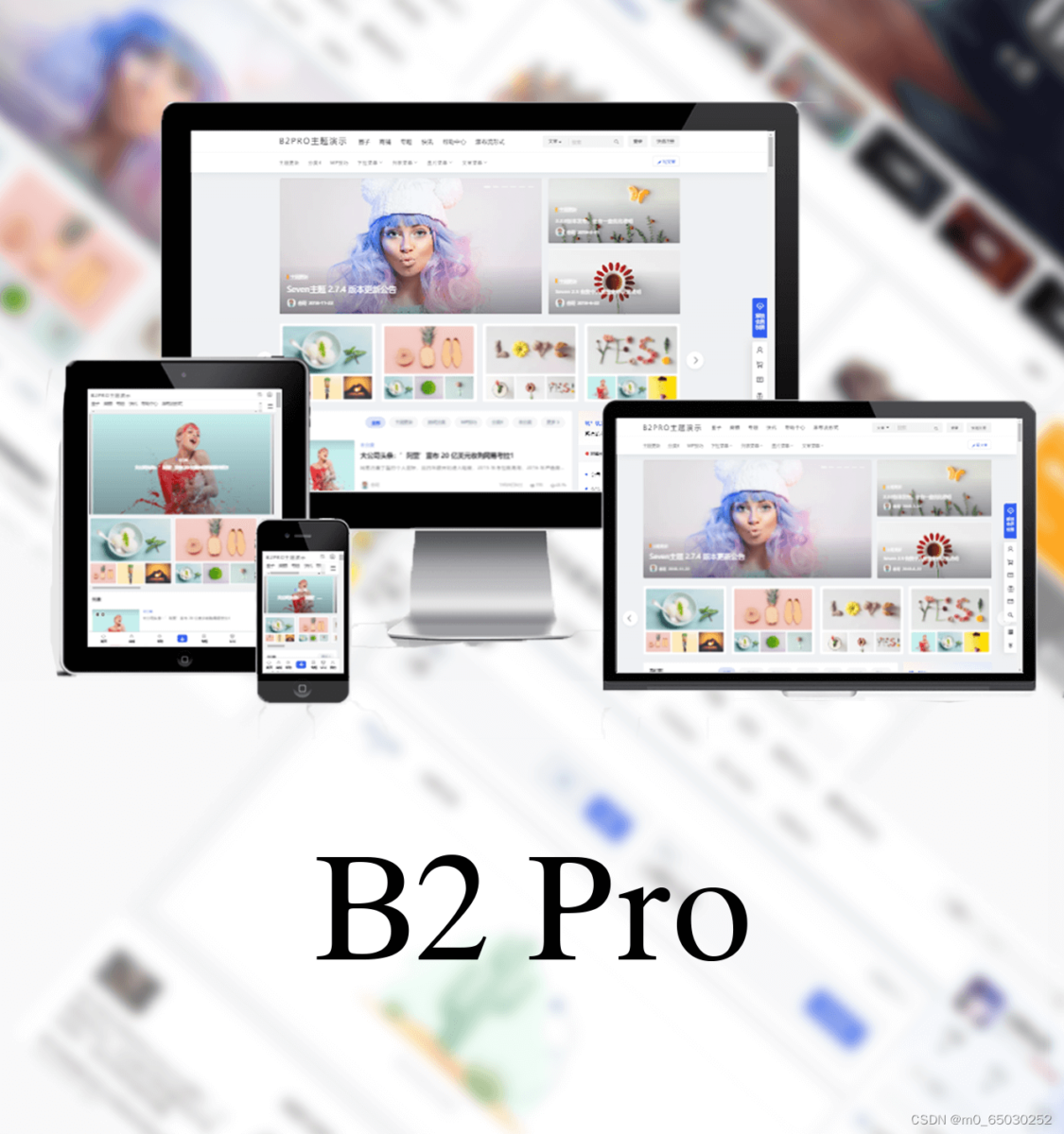 wordpress主题之7B2 PRO主题5.4.2免授权版-墨非网