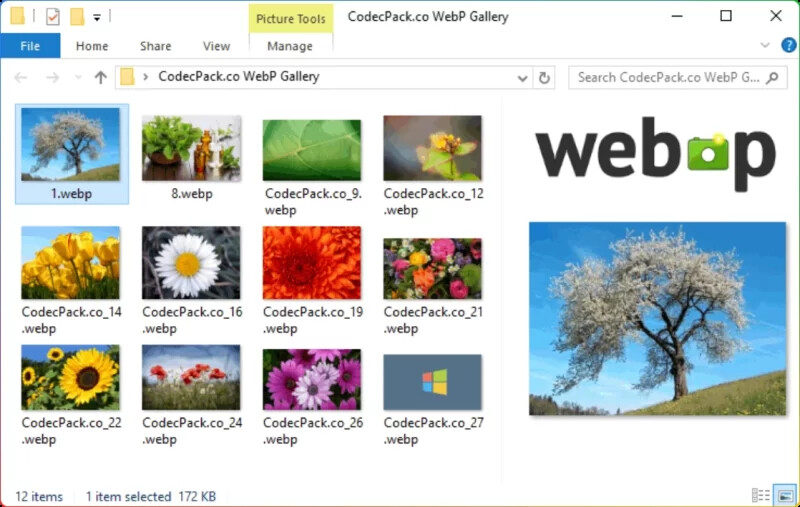 WebP Codec for Windows V0.19.9:WebP缩略图修复工具