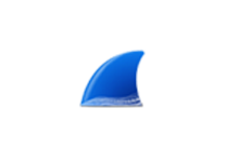 Wireshark v4.6.0 绿色版(网络抓包工具)