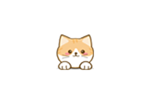 橘猫4K v3.0.0 去广告版(Android)